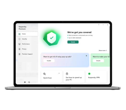 Kaspersky Premium Interface