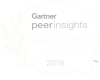 Gartner peer insights customers' choiсe 2019 award icon