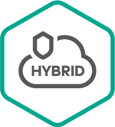 Hybrid Cloud undefined